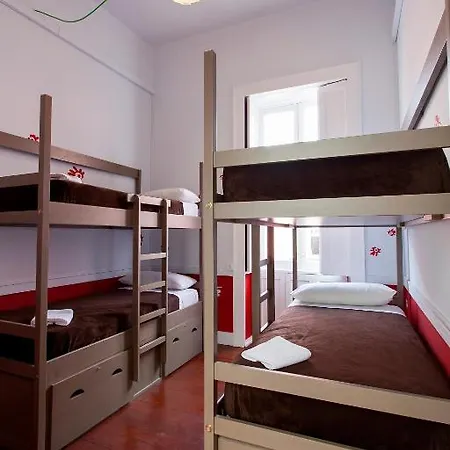 Хостел Ecohostel Bettmar Лас-Пальмас-де-Гран-Канария
